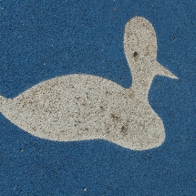 norley-playground-duck
